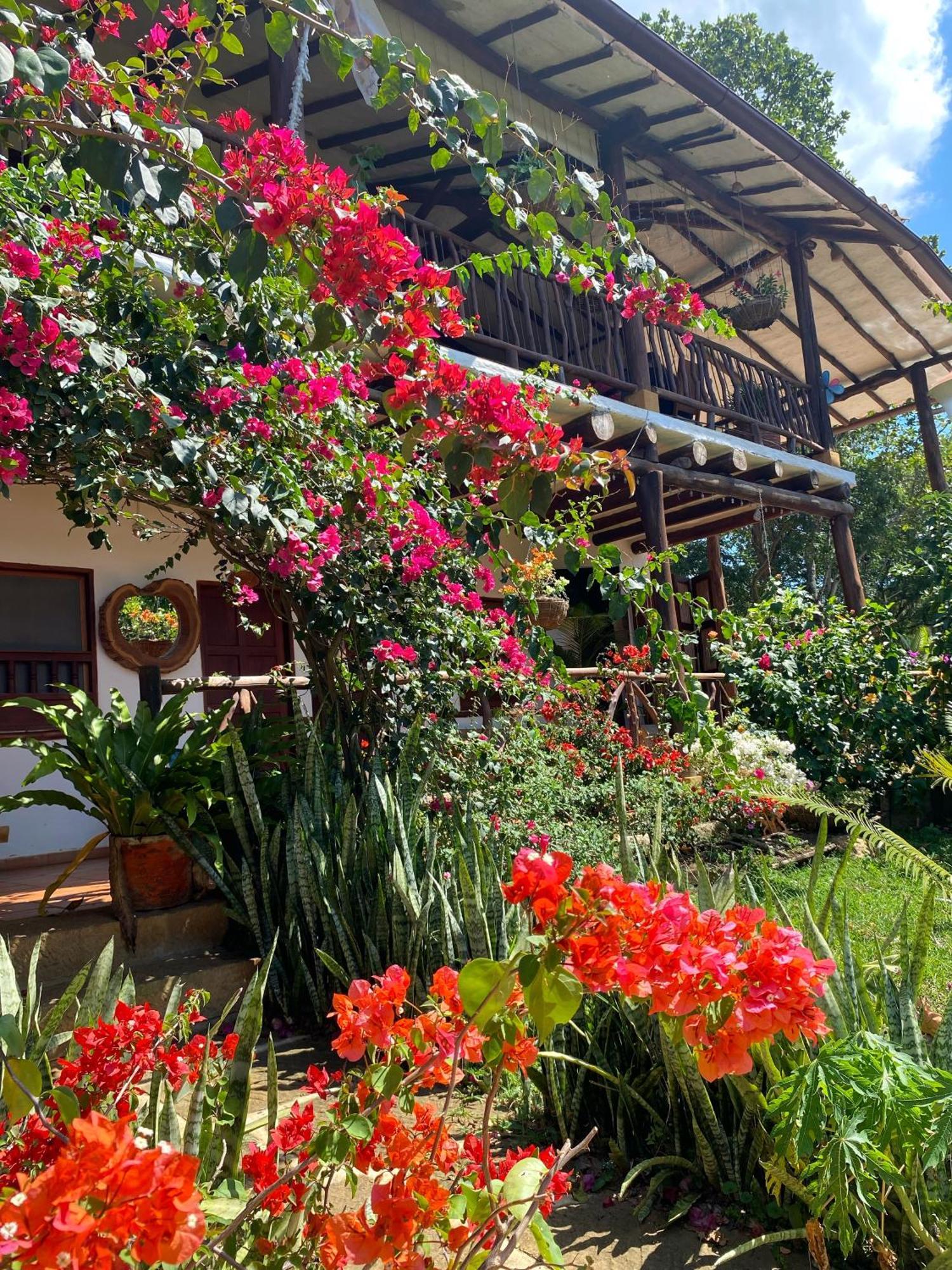 Hostal Villa San Rafael 바리차라 외부 사진